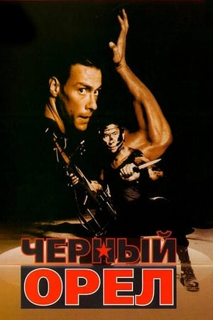 Черный Орел