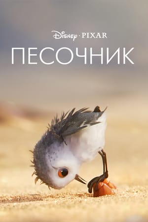 Песочник